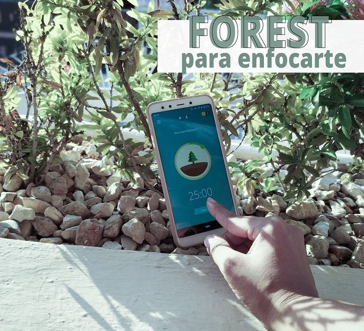 Forest, una app para enfocarte
